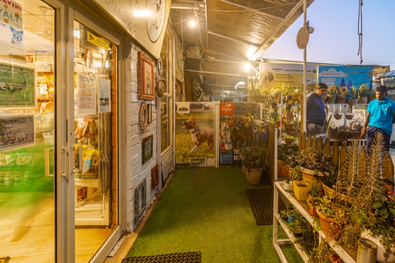 Pet Shop - Professional service photo 6