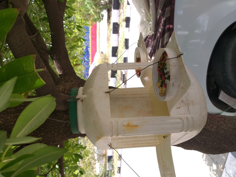 Buy a Plant, Save a Life - Photo 13