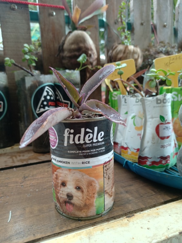 Buy a Plant, Save a Life - Professional service photo 2