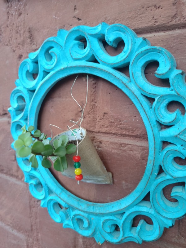 Buy a Plant, Save a Life - Professional service photo 4