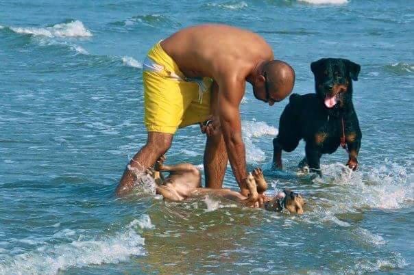 Akram Khan playing with two dogs in the ocean waves
