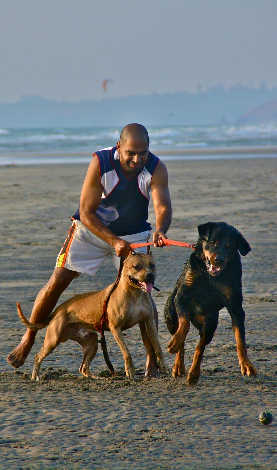 Akram Khan playing tug of war with two dogs on the beach