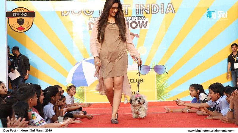 Dog fashion show on stage at a past Dog Fest