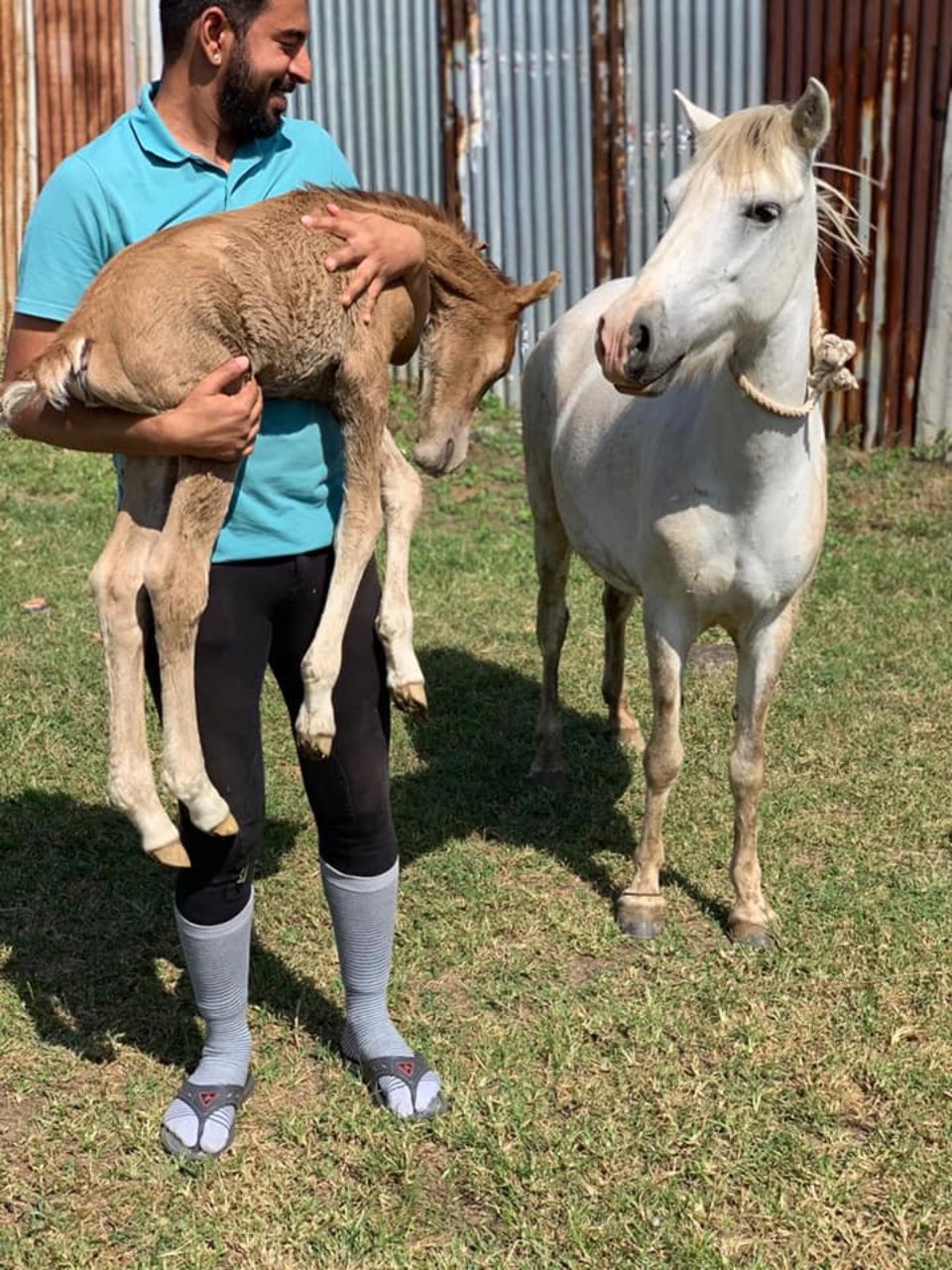 Pet Adoption Services - Professional service photo 3