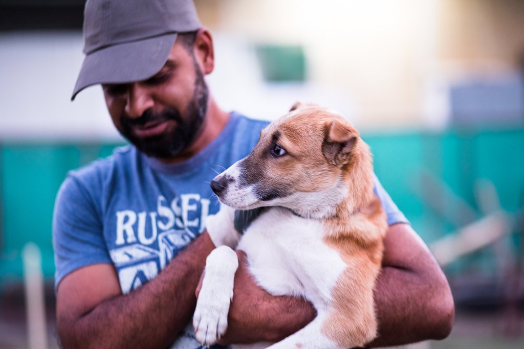 Pet Adoption Services - Professional service photo 5