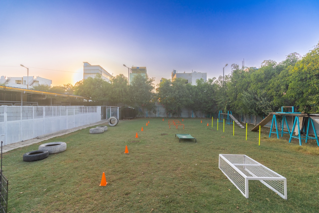 Premium Dog Kennels at Dogsvilla