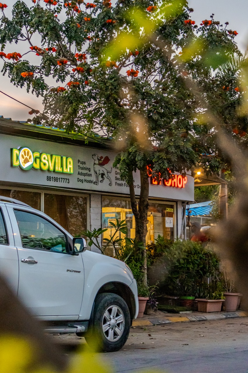 Dog Boarding & Hostel - Photo 20