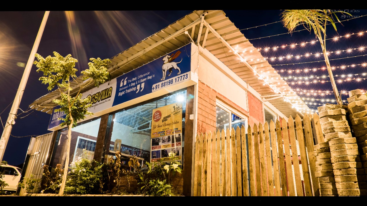 Dog Boarding & Hostel - Photo 21