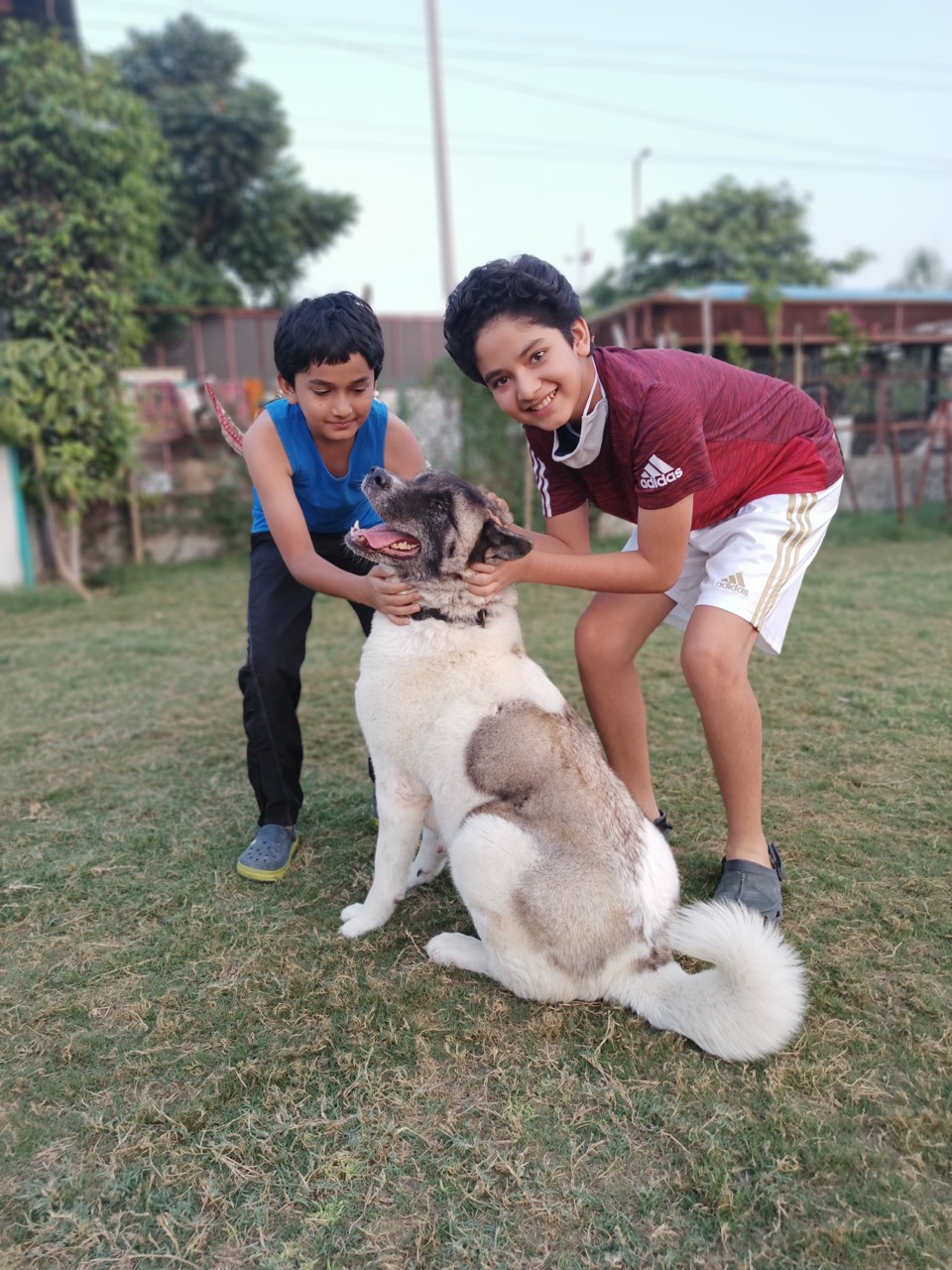 Dog Boarding & Hostel - Photo 35