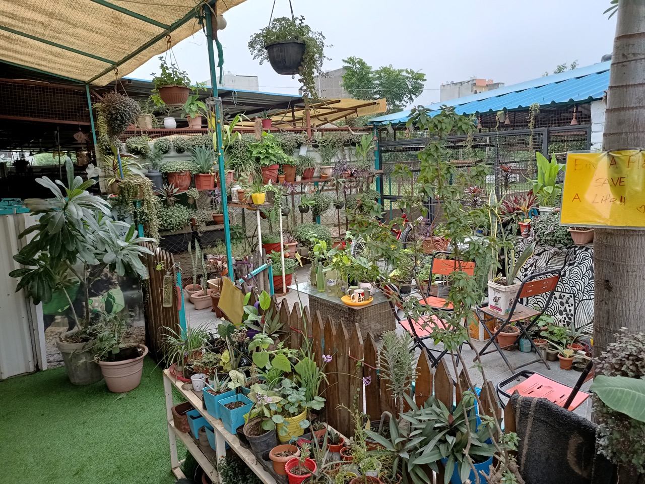 Dog Boarding & Hostel - Photo 33