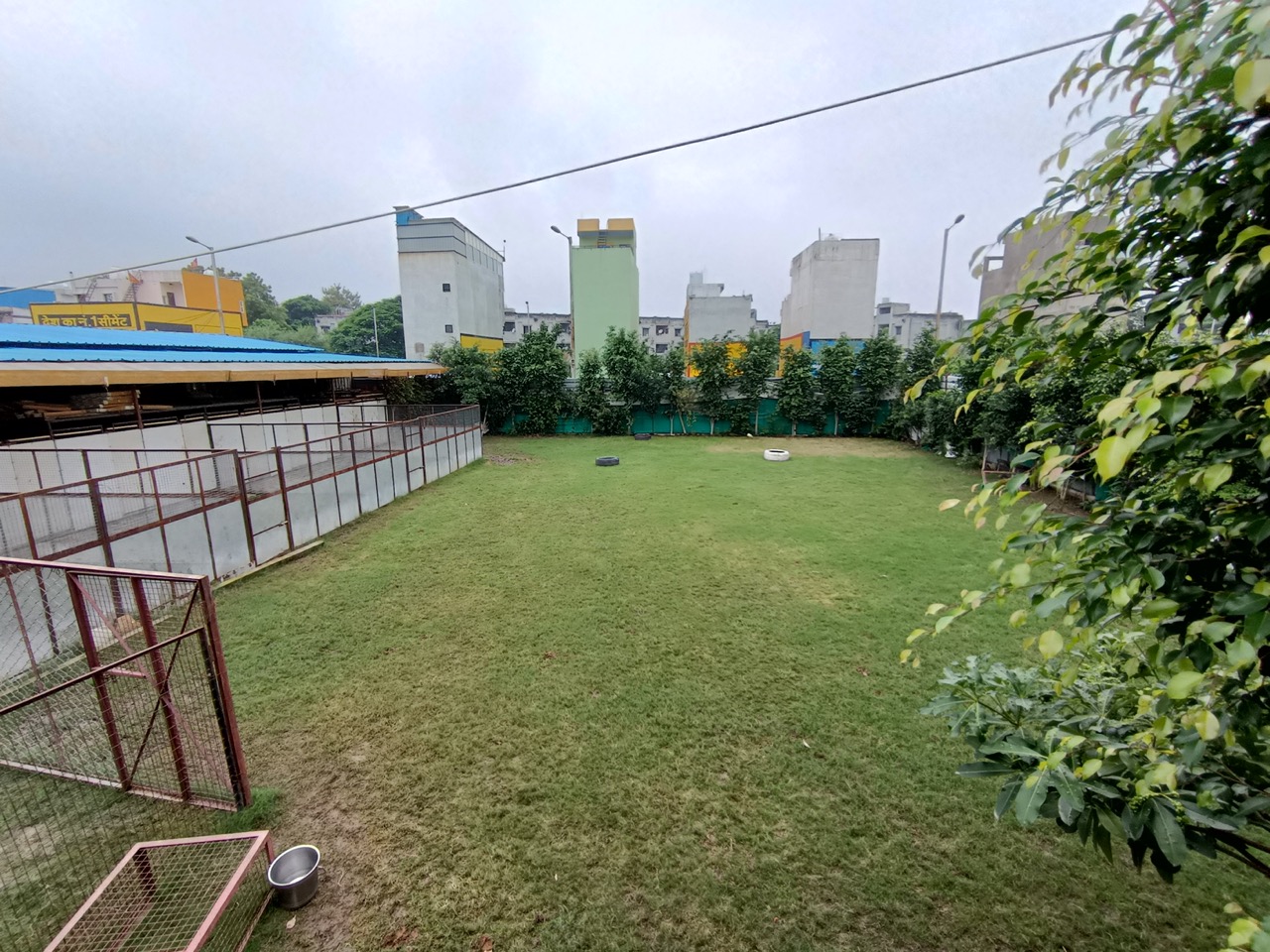 Dog Boarding & Hostel - Photo 34