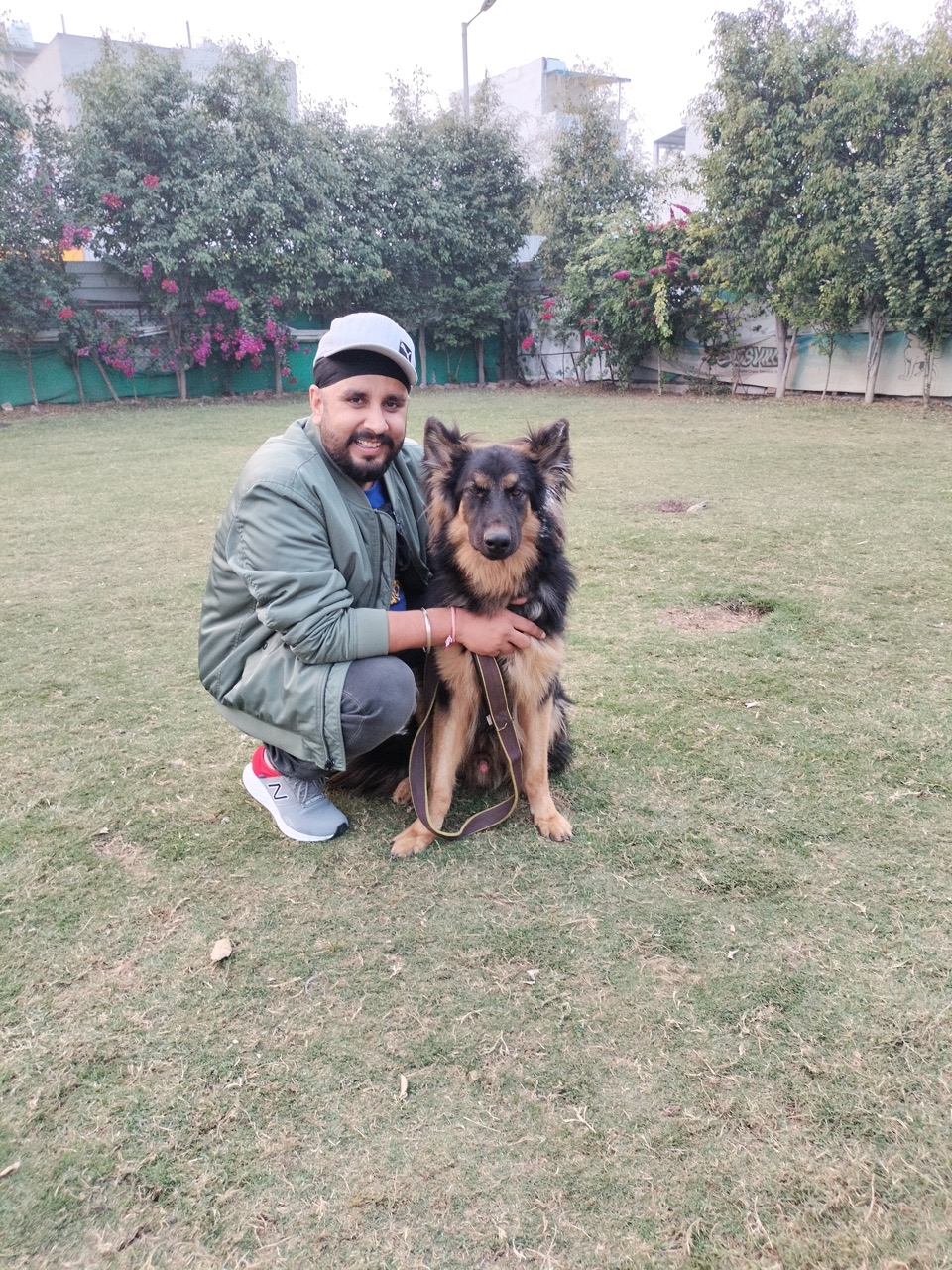 Dog Boarding & Hostel - Photo 36