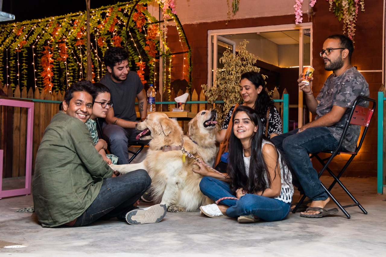 Dog Boarding & Hostel - Photo 52