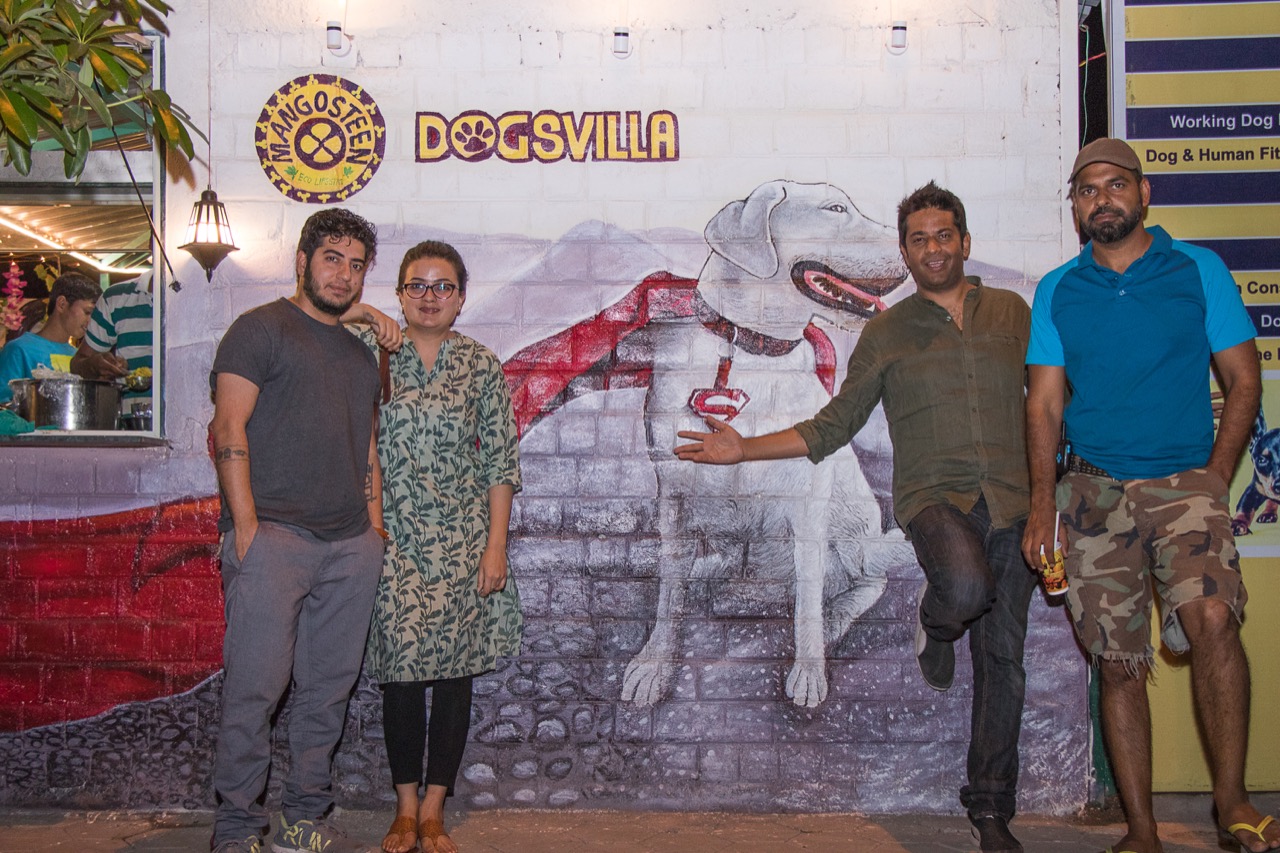 Dog Boarding & Hostel - Photo 53