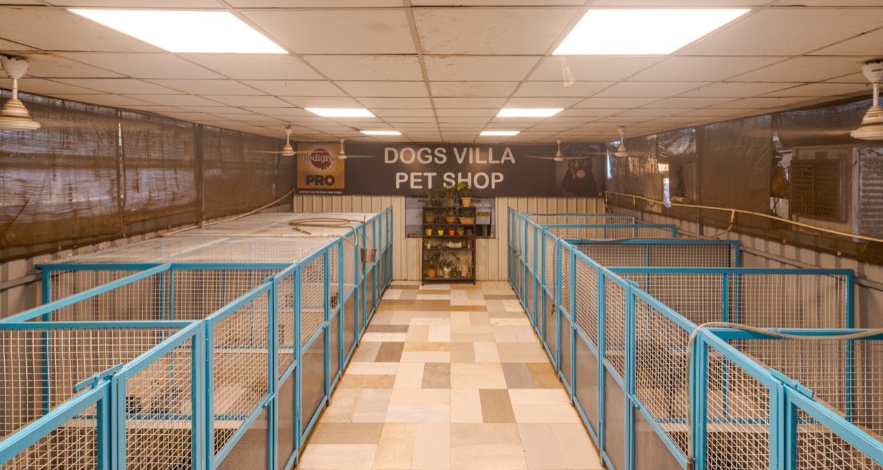 Dog Boarding & Hostel