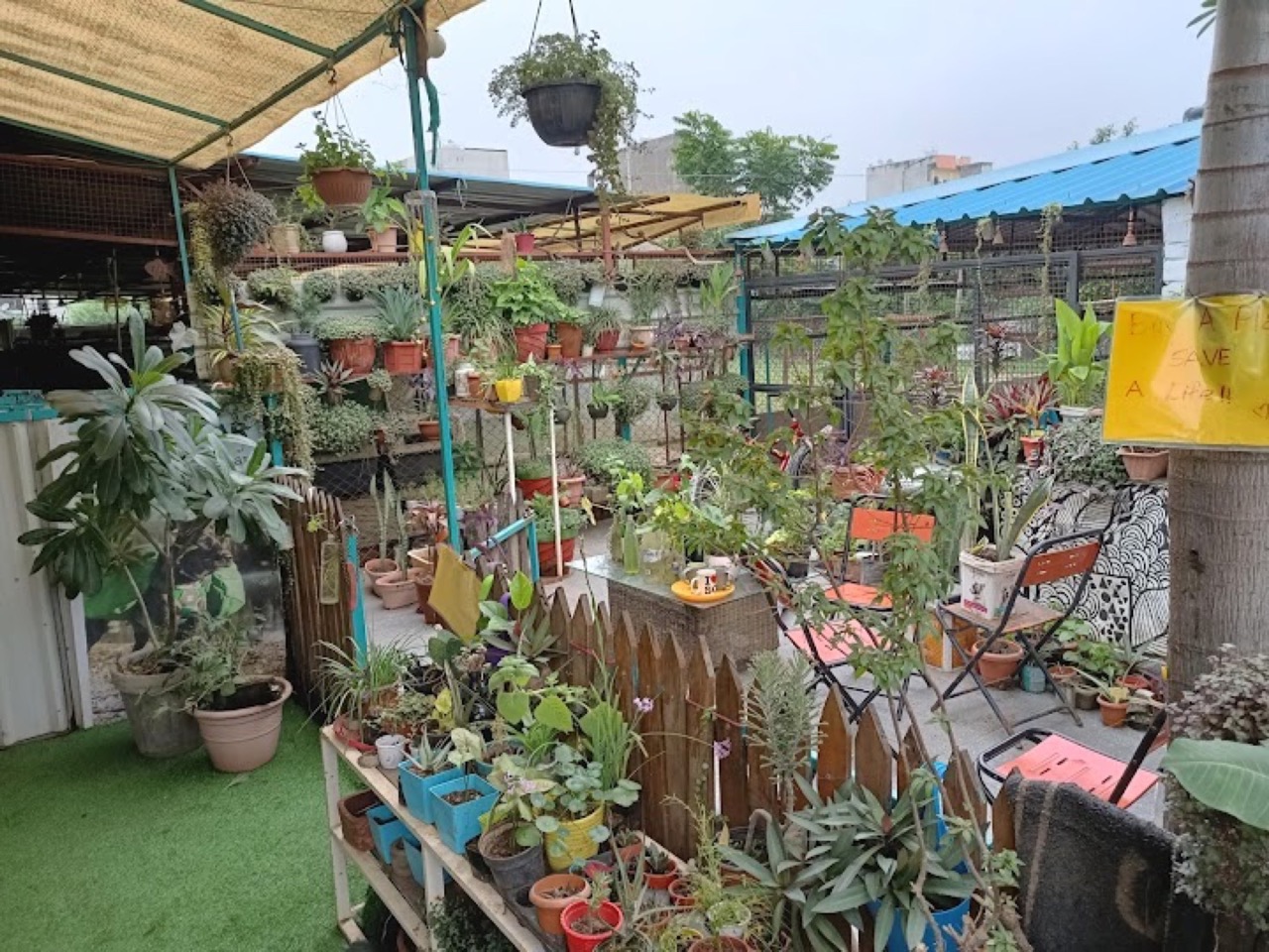 Cat Boarding Services - Professional service photo 1