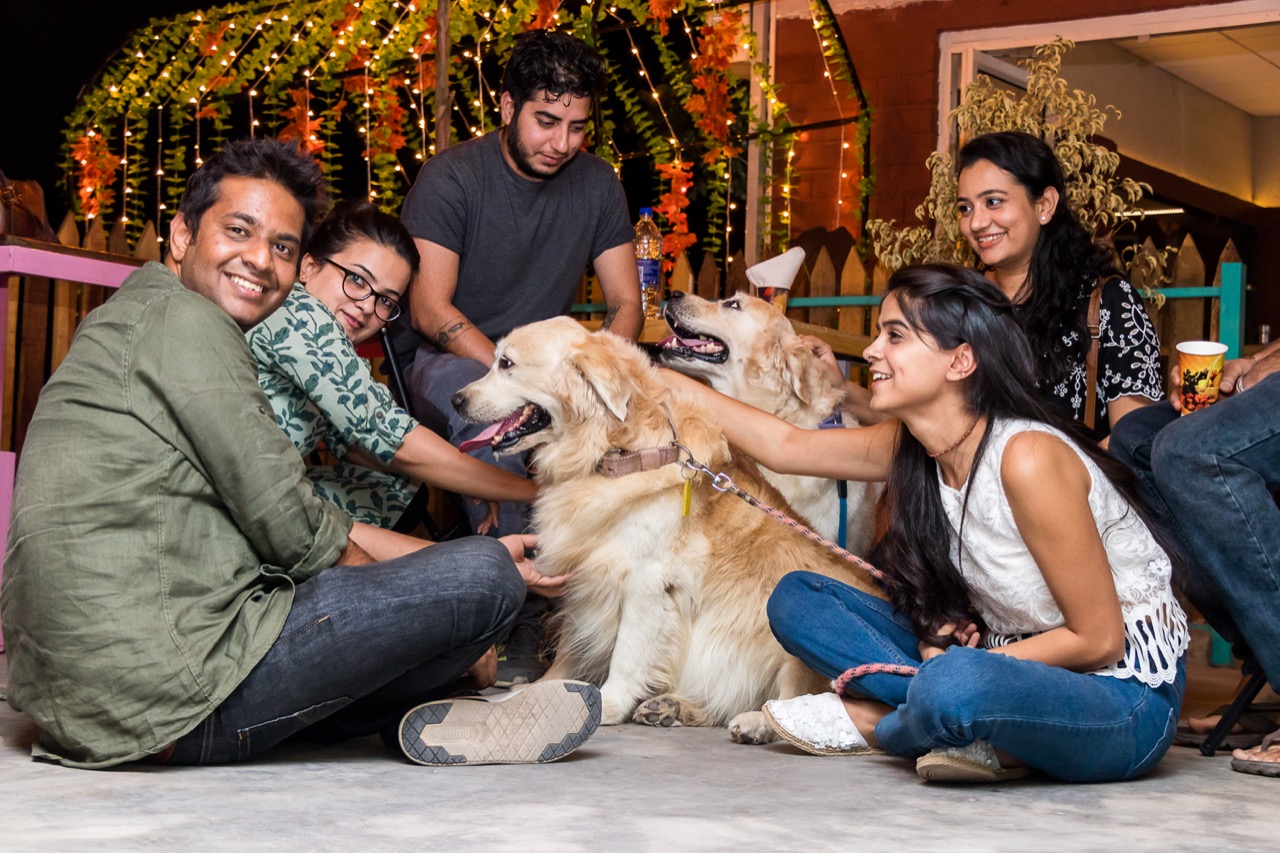 Pawsitive Break at Work