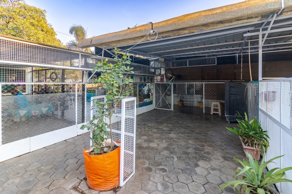 Dogsvilla Main Facility - Spacious outdoor area for dogs