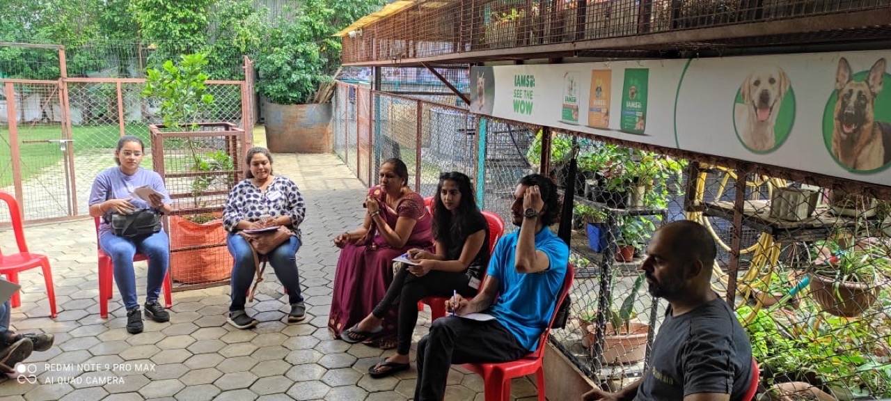 Fresh Pet Food Delivery - Professional service photo 1