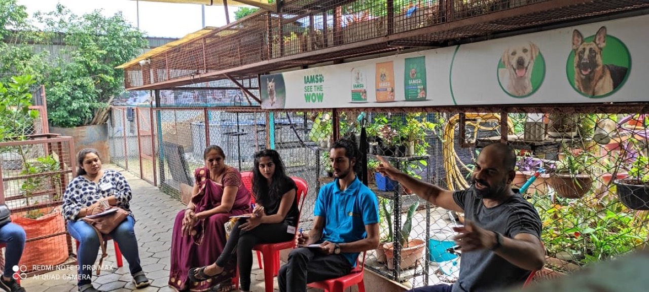 Corporate Wellness Program - Professional service photo 2