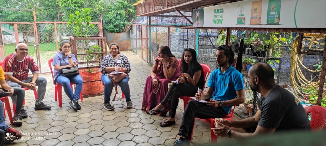 Fresh Pet Food Delivery - Professional service photo 2