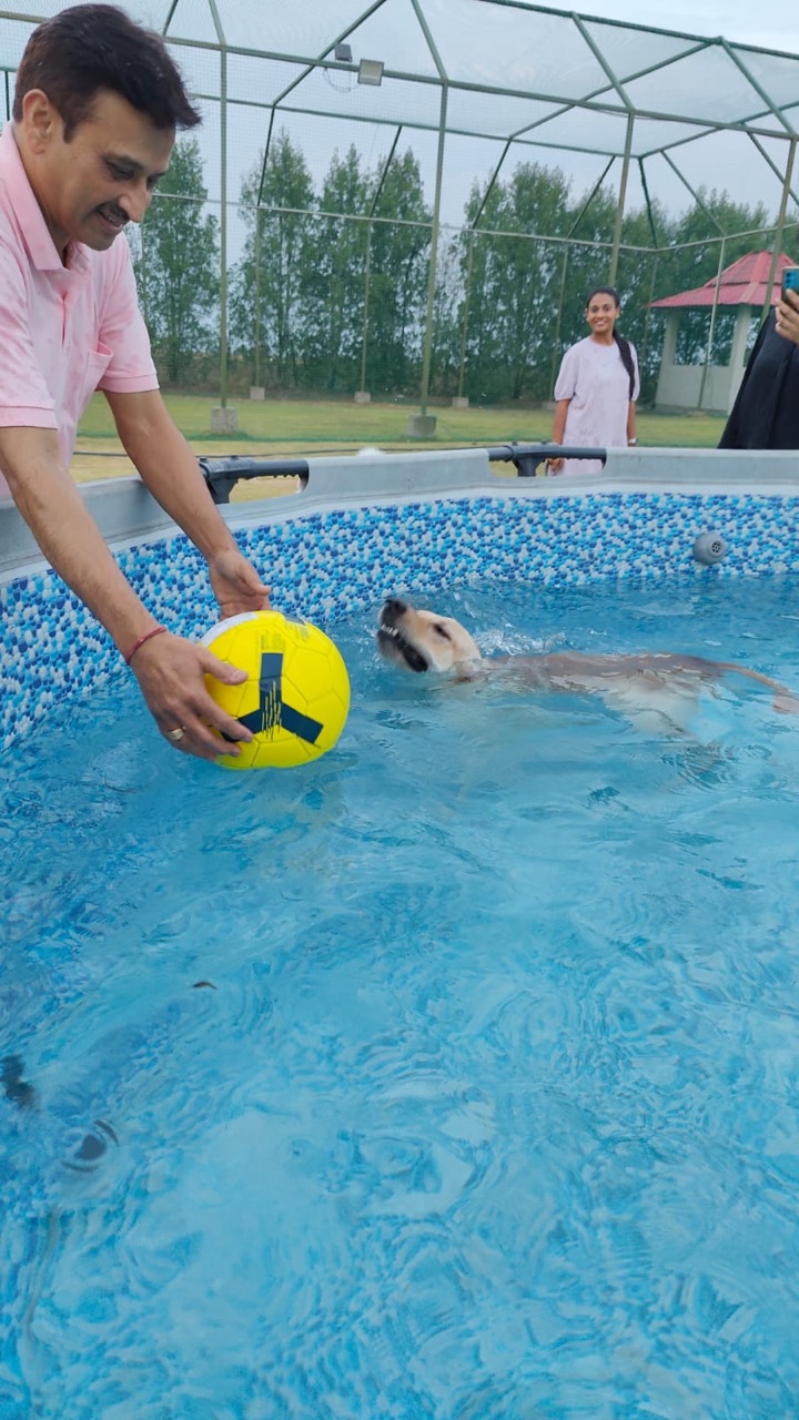 Dog Swimming Pool - Professional service photo 2